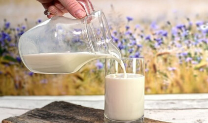 В Башкирии объемы производства продукции АПК достигли 33,8 млрд рублей
