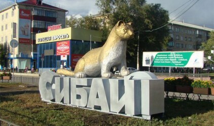 Депутаты и предприниматели обсудили в Сибае проблемы российского бизнеса 