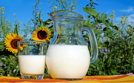 Башкортостан наращивает производство товарного молока