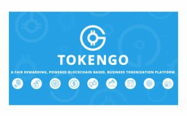 Возможности блокчейн-платформы TokenGO