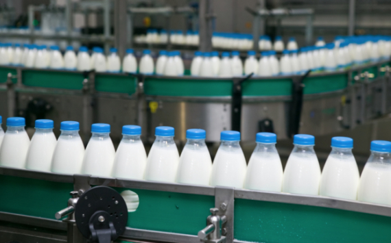В январе–сентябре 2019 года в Башкирия произвела 560 тыс. тонн молока