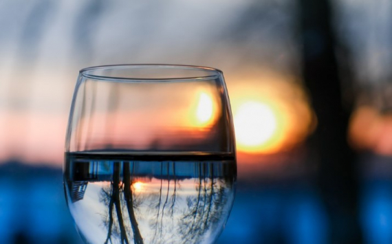 В Башкирии запустят производство виноматериалов для слабоалкогольных напитков