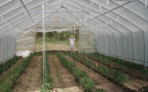В Башкирии построят круглогодичные теплицы по выращиванию овощей