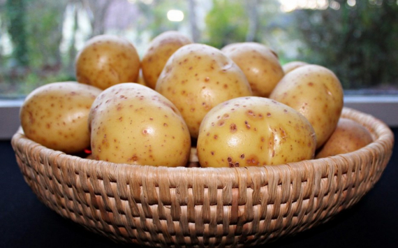 В Башкирии картофель подорожал на 50,9%