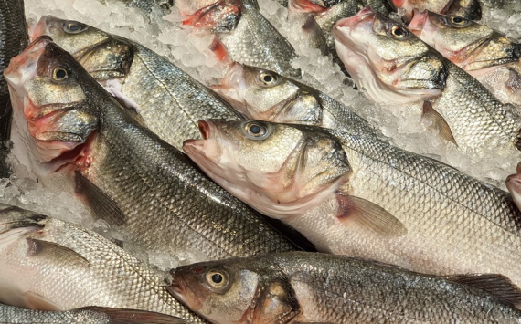 В Башкирии открыли цех по переработке рыбы