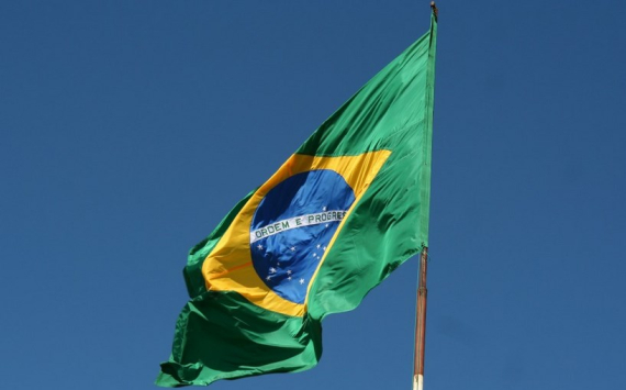 Внешнеторговый оборот Башкирии и Бразилии вырос в 57,2 раза