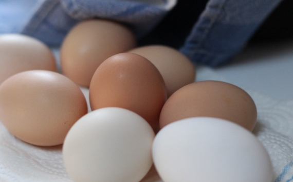 В Башкирии яйца подешевели на 27,6%