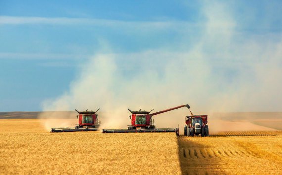 Минсельхоз планирует урожай зерновых на уровне не менее 100 млн тонн