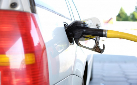 Сечин: Независимые АЗС влияют на рост цен на топливо